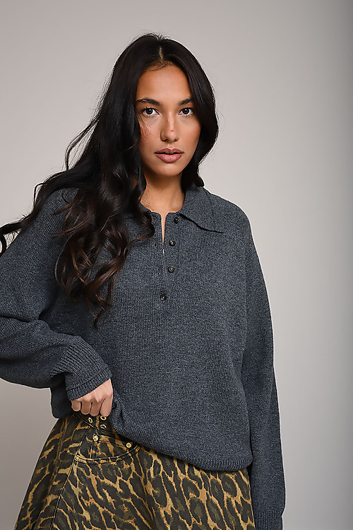 Cordera Sweaters Grijs