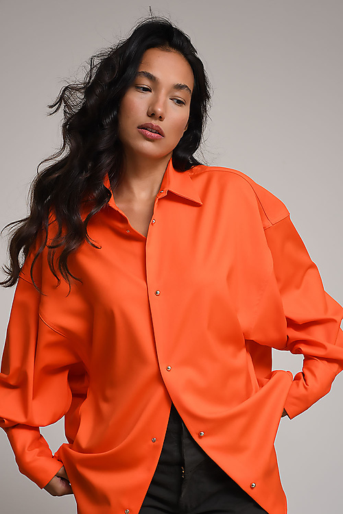 Darkpark Blouses Oranje