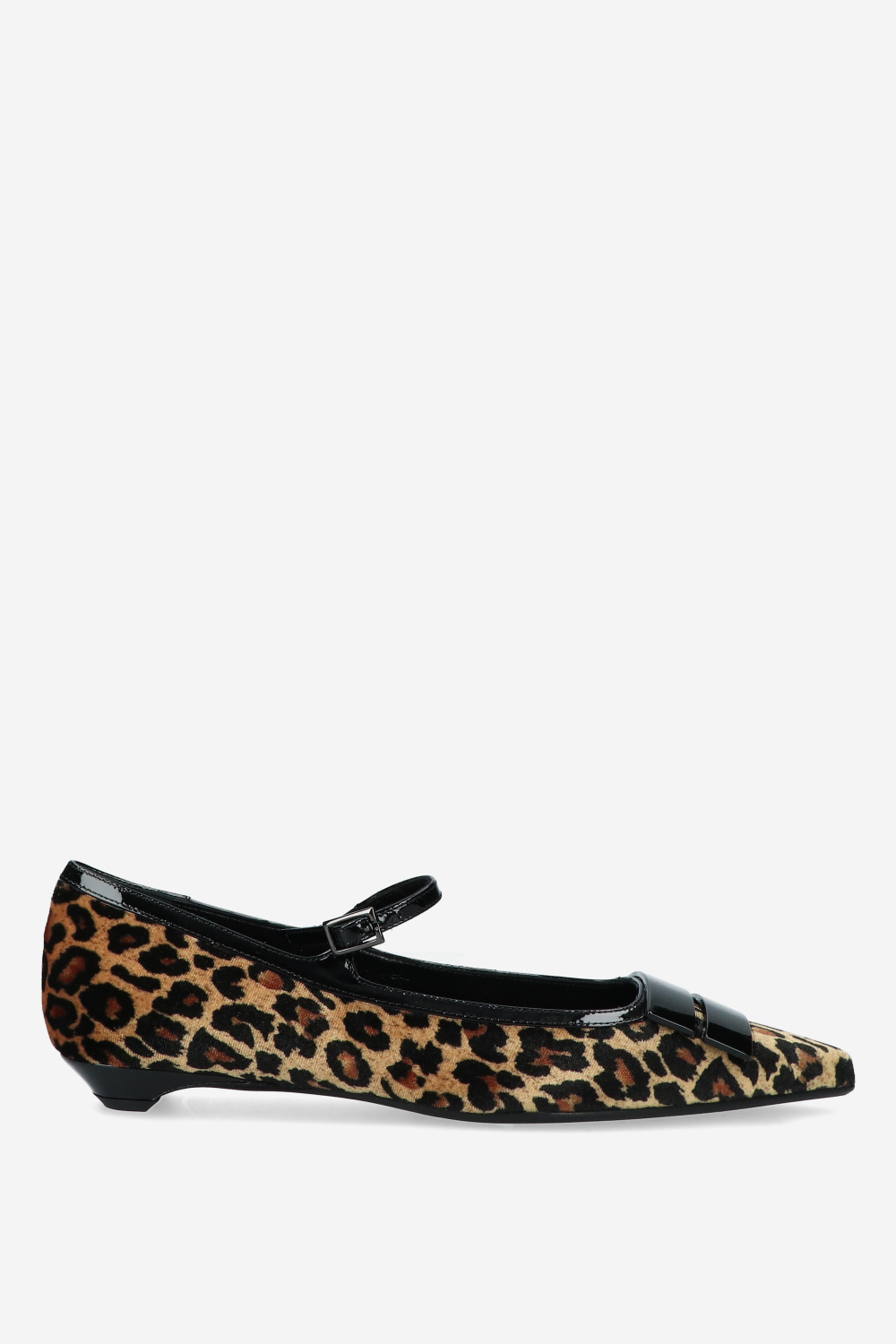 Giorgia F. Ballerinas Animal print