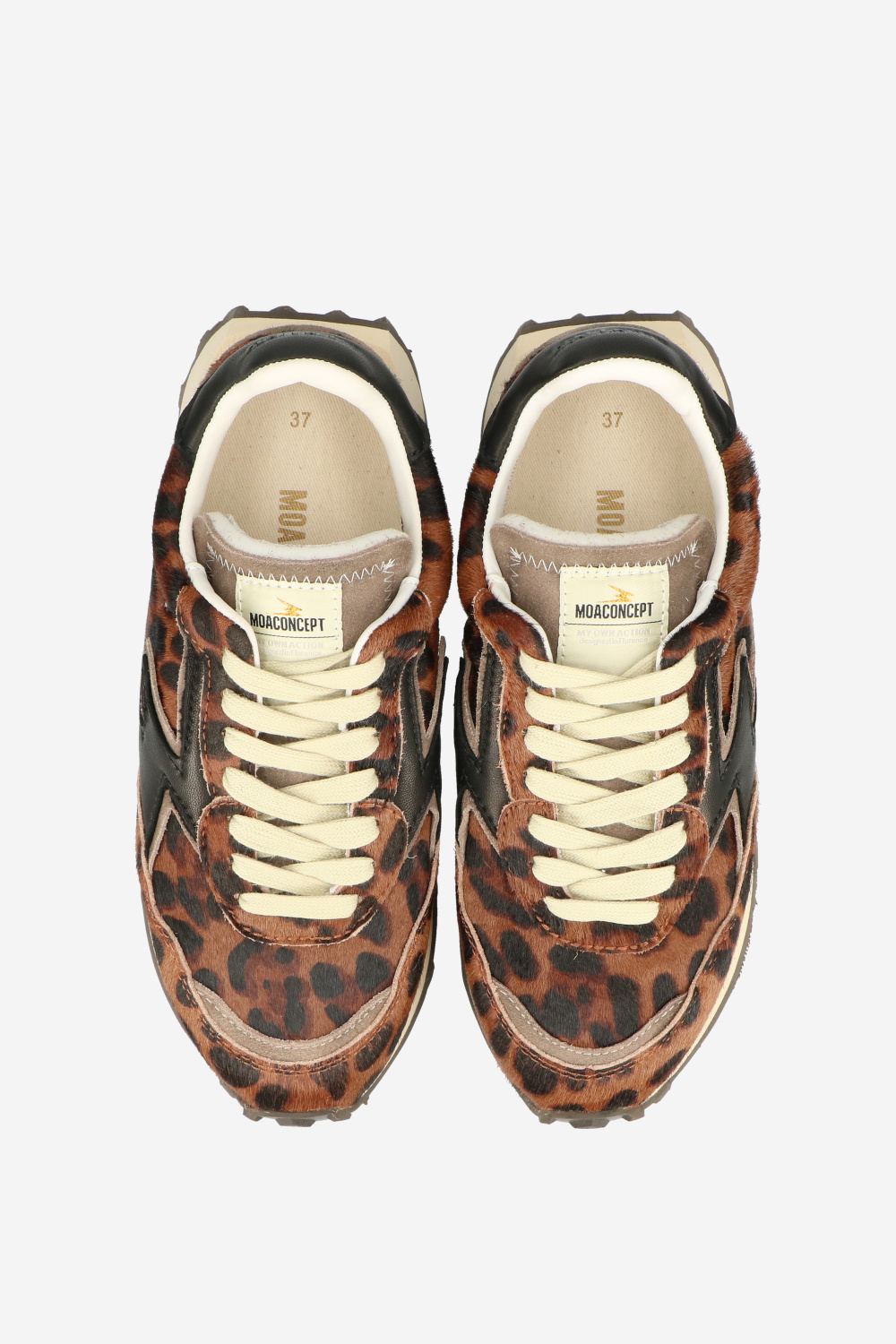 Moaconcept Sneakers Animal print