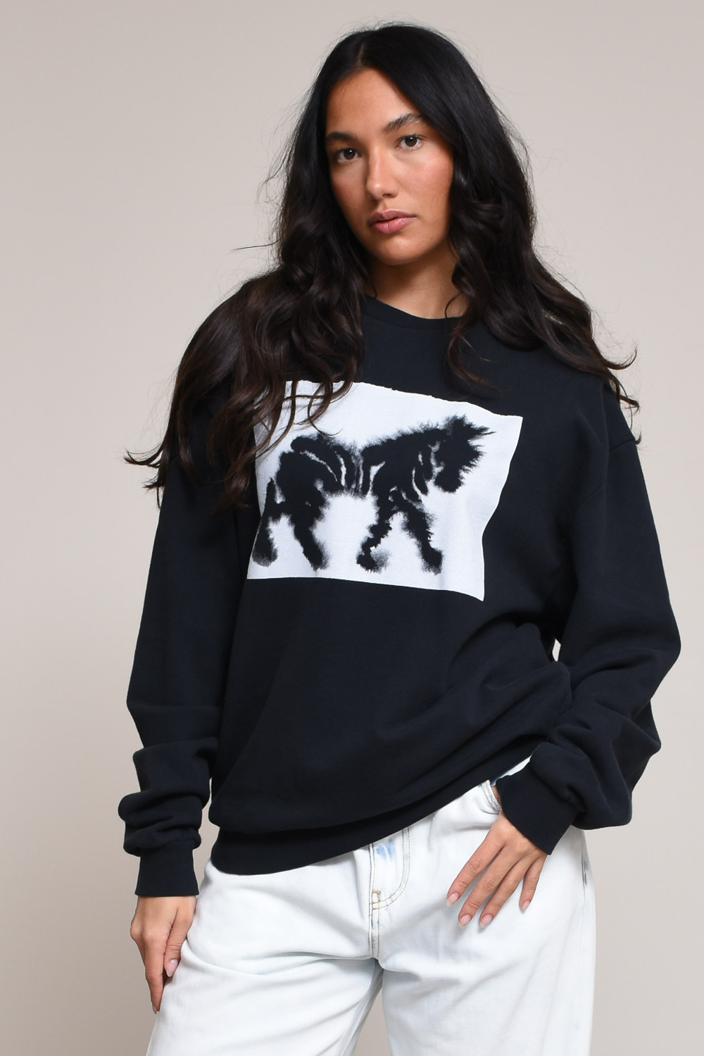 Wild Animals Sweaters Black