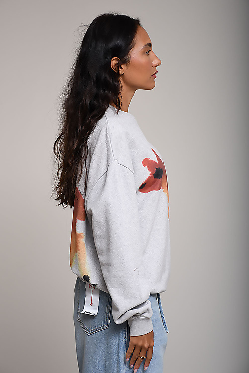 Wild Animals Sweaters Grijs