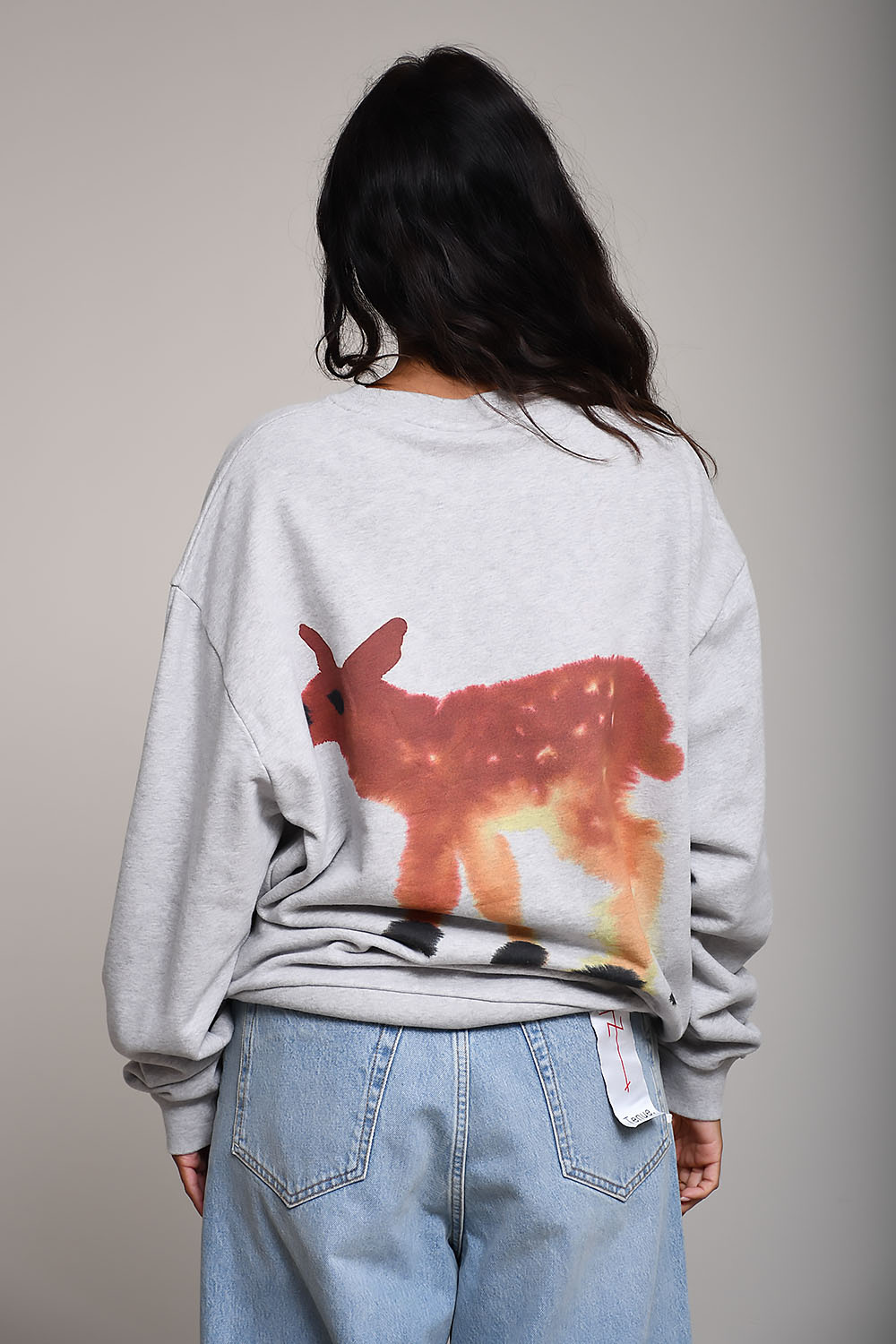 Wild Animals Sweaters Grijs