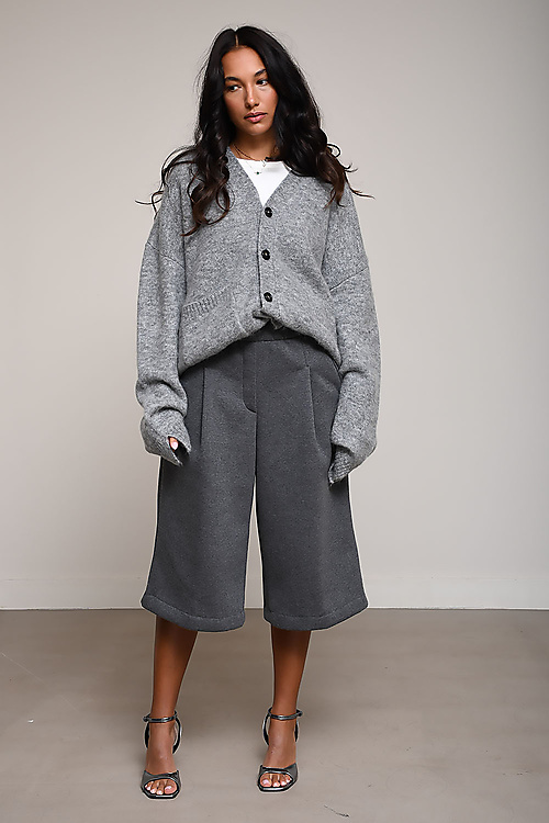 X collection Antwerp Shorts Grijs